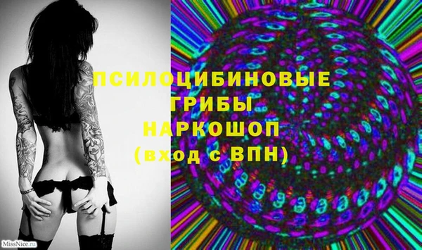 дурь Алексин