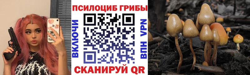 Галлюциногенные грибы мухоморы Изобильный